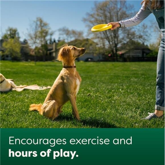 Flying Disc Toy for Dogs and Puppies, Interactive Dog Toys, Saucer Floats - Picture 5 of 7